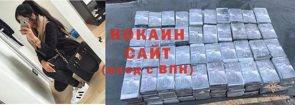 2c-b Горно-Алтайск