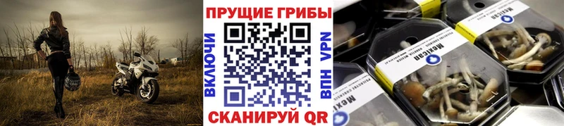 Галлюциногенные грибы Cubensis  Меленки 